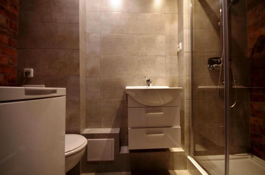 شقة غوجوف فييلكوبولسكي  في Apartament Kaja الغرفة الصورة